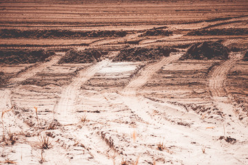 Long tracks from the wheels of passenger car in the sand.