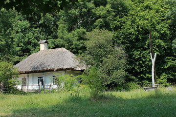 Fototapeta na wymiar Old Ukrainian hut with a reed roof, near a cherry and a well