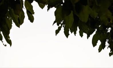 Developed using darktable 2.6.2