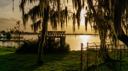 Overlooking the lake