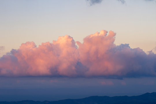isolated pink cumulus congestus cloud in a warm sky