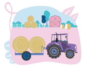 Cute farm tractor carrying crops or cereals, flat vector stock illustration with agricultural heavy machine as a farm concept
