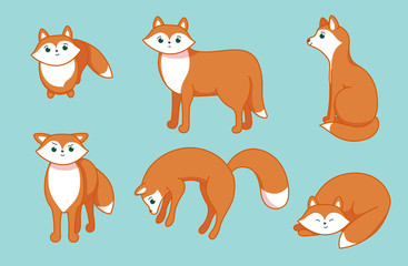 Set of little foxes. Character in cartoon style. Vector illustration