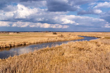Rzeka Biebrza w Dolistowie, Biebrzański Park Narodowy, Podlasie, Polska © podlaski49