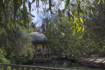 temple in the middle of a lake