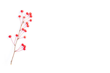 Branch with red berries. An isolated branch with little apples. Flat lay, top view, copy space.