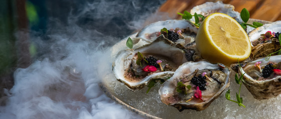 Fresh oysters with lemon on ice. Oysters platter. Restaurant delicacy. Haute high end gourmet...