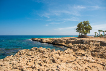 Fototapeta na wymiar Cyprus. Mediterranean Picturesque Landscape.