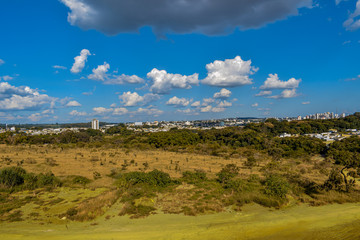 Fototapeta na wymiar Campo verde com cidade no horizonte. Zona urbana envolta por bosques verdes. 