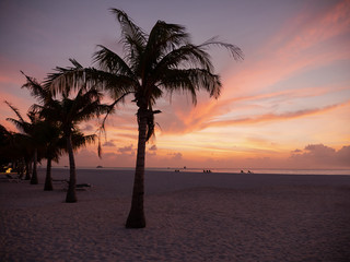 Sunset on Maldives on Tropical Meeru Island. Sunset on Sea. Landscape with Palm Trees with Beautiful Colors.