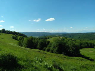 Landscape with blue sky and forrest