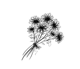 gift bouquet of flowers on a white background. vector. congratulation. black and white drawing