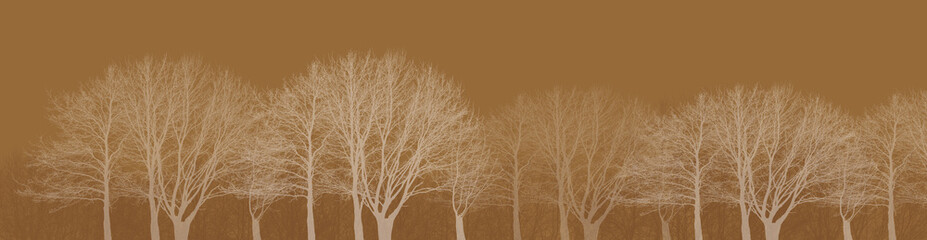 Forest landscape panorama #sunny brown