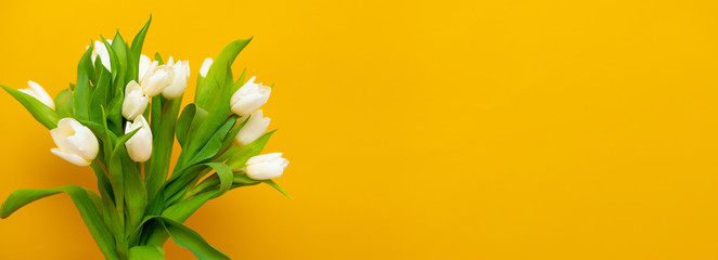Fototapeta na wymiar Spring banner. White tulip bouquet on yellow background. Easter and spring greeting card. Woman day concept. Copy space for text.
