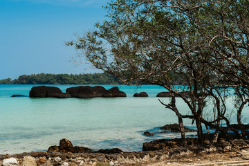 Fototapeta premium Tropical island beach landscape with a palm trees in Thailand. Crystal clear water against blue sky background. Wallpaper. Vacation