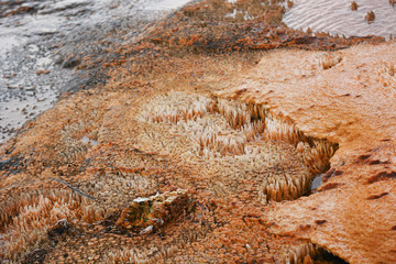 Hundred pillars - Orange Minerals in Yellowstone National Park