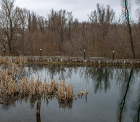 The lake in early spring at the holy spring in honor of St. Nicholas the Wonderworker of the Voronezh region