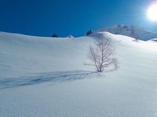 beautiful sunny skitouring day in austrian alps