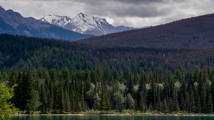 Fototapeta na wymiar Lake with mountain range in the background, Annette Lake, Jasper National Park, Alberta, Canada