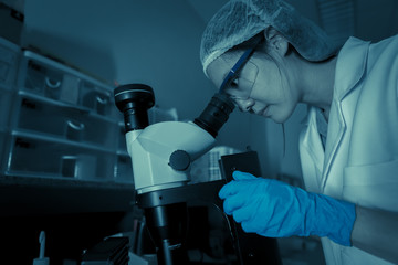 Scientist in the lab,Researchers are research to find the results of the experiment,doctors are...