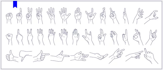Fotobehang Set of contours of human hands, signs and gestures isolated vector illustrations on a white background © max_776