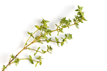 Sprig of fresh thyme on a white background, close-up, flat lay, top view.