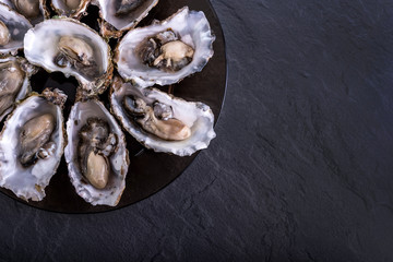 Fresh oysters on grey background. Served table with oysters and lemon. Fresh oysters close-up top view. Healthy sea food. Oyster dinner with champagne in restaurant. Gourmet food. Sea food.