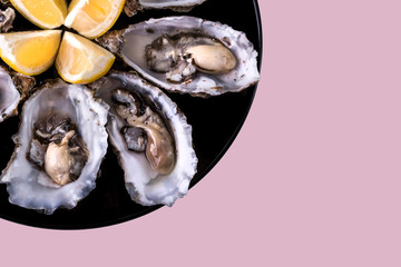 Oysters plate with lemon on pink background. Served table with oysters and lemon. Fresh oysters close-up top view. Healthy sea food. Oyster dinner with champagne in restaurant. Gourmet food. Sea food.