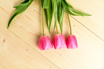 Top view of three small vivid pink tulip flowers and green leaves on a raw wooden table, beautiful indoor floral background photographed with small focus