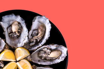 Oysters plate with lemon on red coral background. Served table with oysters and lemon. Fresh...