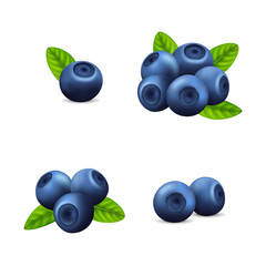Realistic Detailed 3d Raw Blueberry Set. Vector
