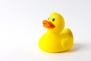duckling children's toy on a white background