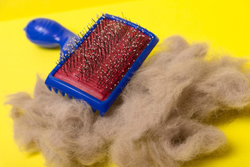 Comb for animal hair and gray wool on a yellow background. Animal hairbrush.