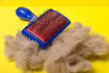 Comb for animal hair and gray wool on a yellow background. Animal hairbrush.