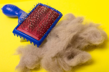 Comb for animal hair and gray wool on a yellow background. Animal hairbrush.