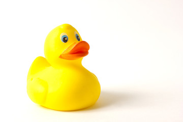 duckling children's toy on a white background