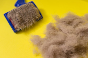 Comb for animal hair and gray wool on a yellow background. Animal hairbrush.