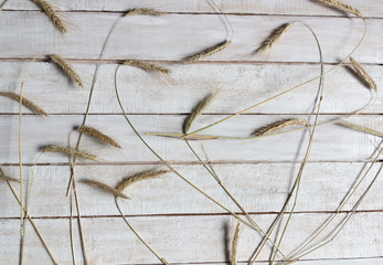 Heap of ripe barley spikes on white wooden rustic background