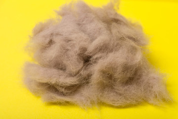 Gray animal hair on a yellow background.