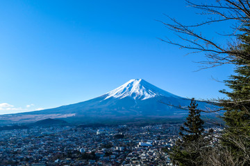 A distant view on Mt Fuji in Japan on a clear, wintery day. The top parts of the volcano are covered with a layer of snow. Holly mountain of Japan. A few tree branches in the frame.