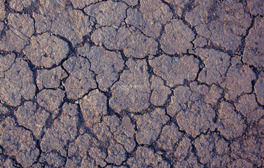 Abstract texture of dry earth closeup