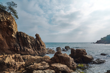 Mediterranean Landscape with rocks, pine trees and rough cliffs in Costa Brava. Blanes, Catalonia, Spain.