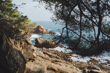 Fototapeta na wymiar Mediterranean Landscape with rocks, pine trees and rough cliffs in Costa Brava. Blanes, Catalonia, Spain.