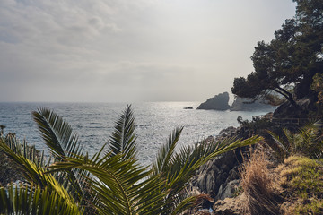 Fototapeta na wymiar Mediterranean seascape with rocks, pine trees and rough cliffs in Costa Brava. Blanes, Catalonia, Spain.
