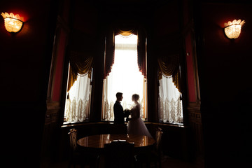 Fototapeta na wymiar silhouette of the bride and groom in the Palace