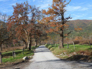 Cades Cove, GSMNP
