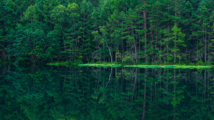 御射鹿池　水面反射