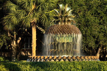 Charleston SC pineapple fountain