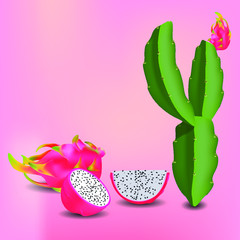 planta de pitahaya y fruto