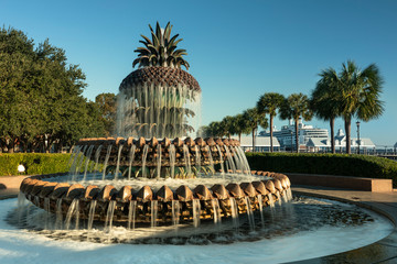 Naklejka premium Charleston SC pineapple fountain